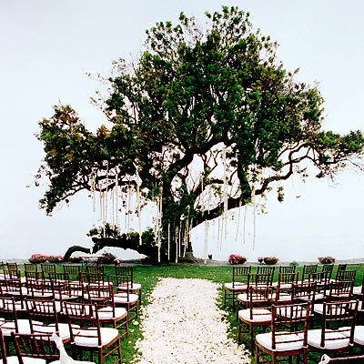 Outdoor ceremony backdrops Toledo Wedding Planner Your Perfect Day